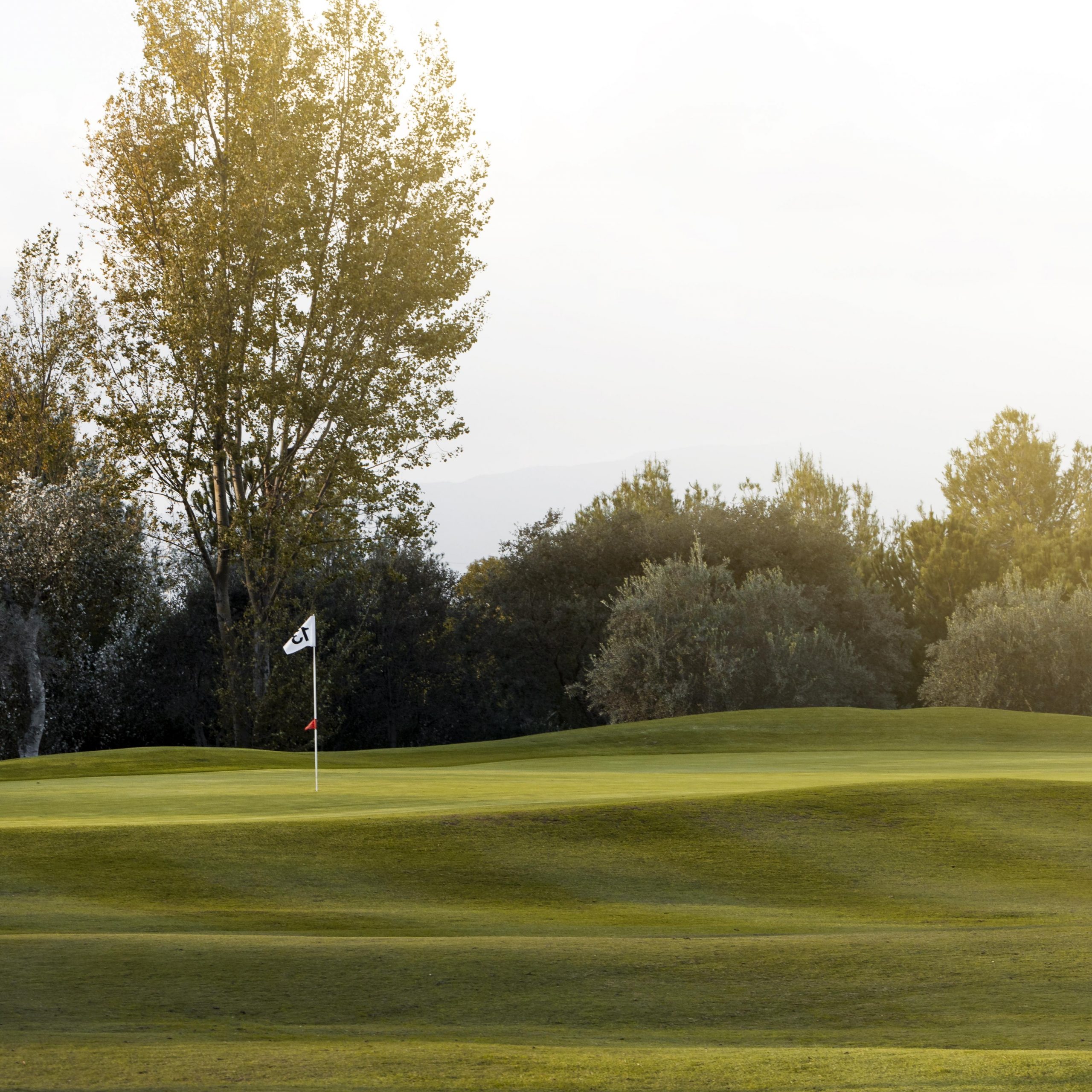 Terrain de golf