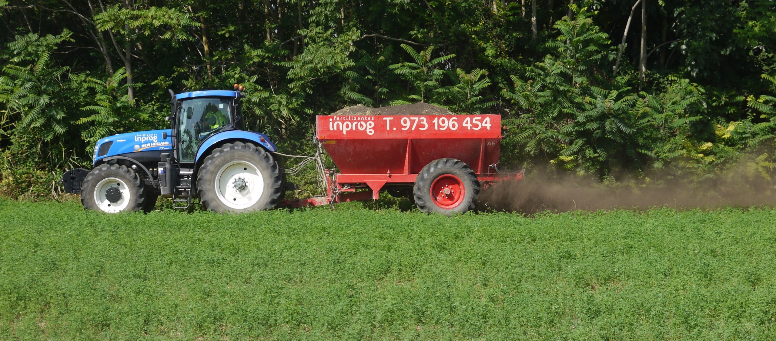 Abonando alfalfa con Inprog fertilizantes